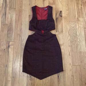 Express Mini Dress